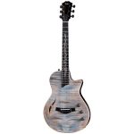 Taylor Custom 15: CT5z B5015