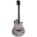 Taylor Custom 15: CT5z B5015 - imagine 2