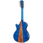 Taylor Custom 1: Windward Coast - imagine 3