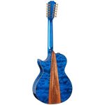 Taylor Custom 1: Windward Coast - imagine 4