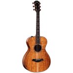 Taylor Custom 40: C22e 12-Fret B5040 - imagine 2