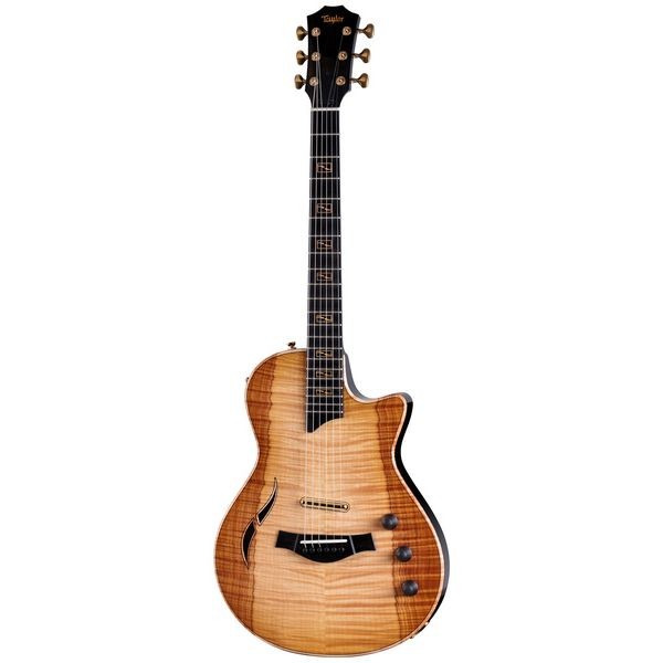 ps-products-24050-69281 Taylor Custom 27: CT5z B5027 - imagine 1