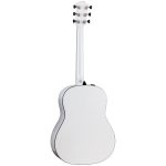 Taylor Custom 5: C17e B5005 - imagine 4