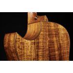 Taylor C28ce Grand Orchestra Custom - imagine 7