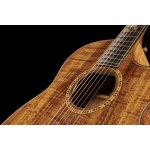 Taylor C28ce Grand Orchestra Custom - imagine 9