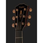 Taylor C24ce Grand Auditorium Custom - imagine 3