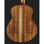 Taylor C721e Grand Theater Custom - imagine 5