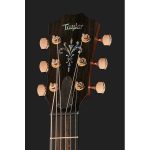 Taylor C721e Grand Theater Custom - imagine 7
