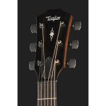 Taylor 327e LH V-Class - imagine 5