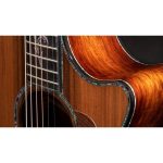 Taylor PS12ce 12 Fret Honduran RW - imagine 5