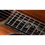 Taylor PS12ce 12 Fret Honduran RW - imagine 6