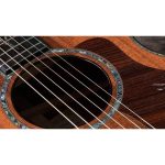 Taylor PS12ce 12 Fret Honduran RW - imagine 7