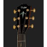 Taylor PS12ce 12 Fret Honduran RW - imagine 12