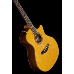 Taylor Custom 6 GA - imagine 7