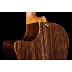 Taylor Custom 6 GA - imagine 8