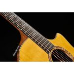 Taylor Custom 6 GA - imagine 9