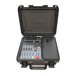 DSE M210P - mixer amplificat cu 2 microfoane wireless