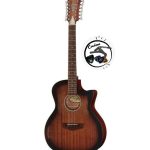 D'Angelico Premier Fulton LS Aged Mah