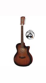 D'Angelico Premier Fulton LS Aged Mah