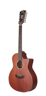 D'Angelico Premier Fulton LS Mahogany Satin - imagine 4