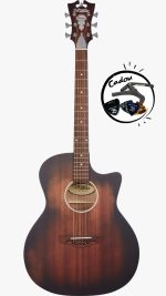 D'Angelico Premier Gramercy LS Aged Mah