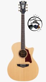 D'Angelico Premier Gramercy Natural