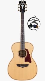 D'Angelico Premier Tammany Natural