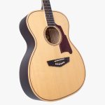 D'Angelico Premier Tammany Natural - imagine 4
