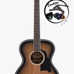 D'Angelico Premier Tammany Aged Burst