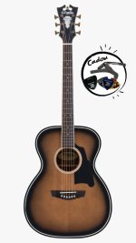 D'Angelico Premier Tammany Aged Burst