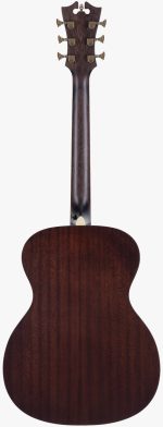 D'Angelico Premier Tammany Aged Burst - imagine 3