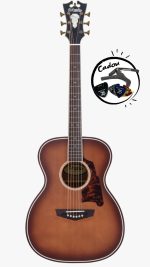 D'Angelico Premier Tammany Caramel Burst