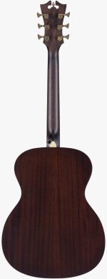 D'Angelico Premier Tammany Caramel Burst - imagine 3