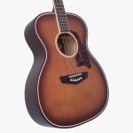D'Angelico Premier Tammany Caramel Burst - imagine 4