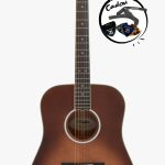 D'Angelico Excel Lexington Autumn Burst