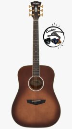 D'Angelico Excel Lexington Autumn Burst