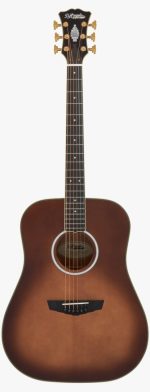 D'Angelico Excel Lexington Autumn Burst - imagine 2