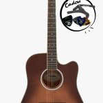 D'Angelico Excel Bowery Autumn Burst