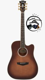 D'Angelico Excel Bowery Autumn Burst