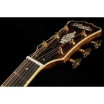 D'Angelico Excel Bowery Autumn Burst - imagine 7