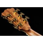 D'Angelico Excel Bowery Autumn Burst - imagine 11