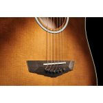 D'Angelico Excel Bowery Autumn Burst - imagine 13