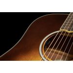 D'Angelico Excel Bowery Autumn Burst - imagine 14