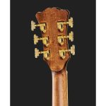 D'Angelico Excel Bowery Autumn Burst - imagine 15