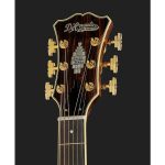 D'Angelico Excel Bowery Autumn Burst - imagine 17
