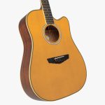 D'Angelico Excel Bowery Vintage Natural - imagine 5