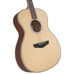 D'Angelico Excel Josh Turner Tammany - imagine 3