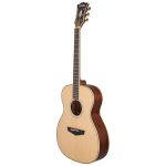 D'Angelico Excel Josh Turner Tammany - imagine 4
