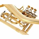 Schagerl Killerqueen "Z" Flugelhorn UL - imagine 5