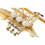 Schagerl Killerqueen "Z" Flugelhorn UL - imagine 6
